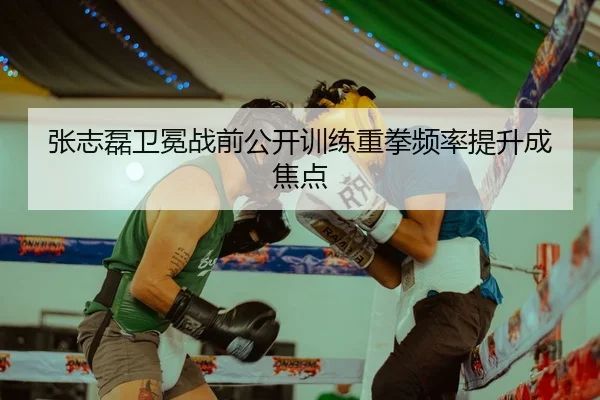 张志磊卫冕战前公开训练重拳频率提升成焦点